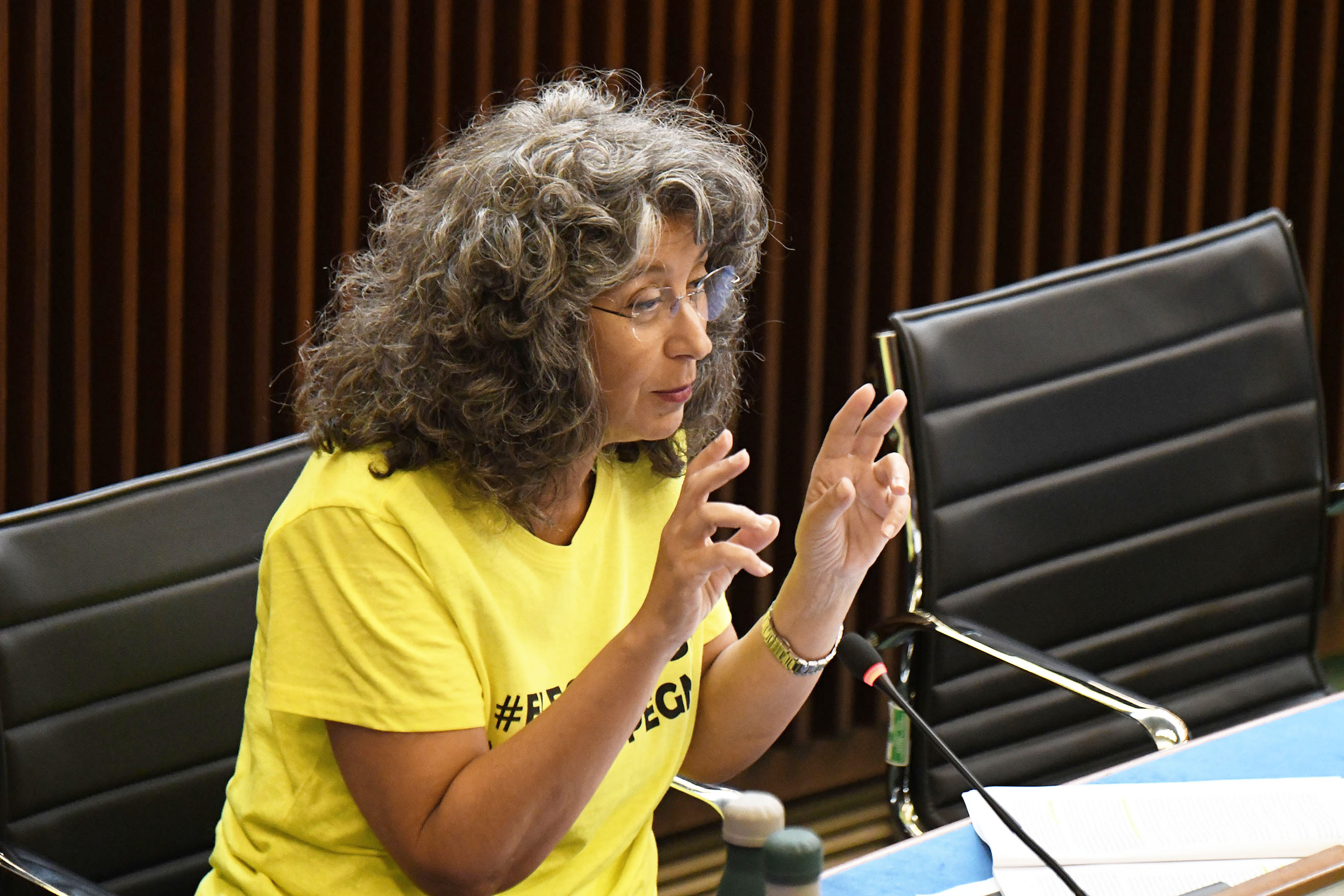 CASE COMUNITÀ. PELLEGRINO (AVS): MANCANO I MEDICI, NON I PRIVATI